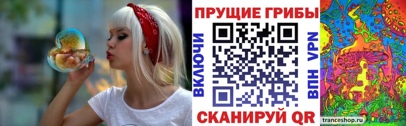Галлюциногенные грибы Cubensis Яранск
